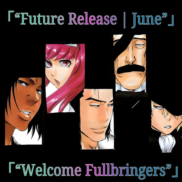 BLEACH Fullbring Collection