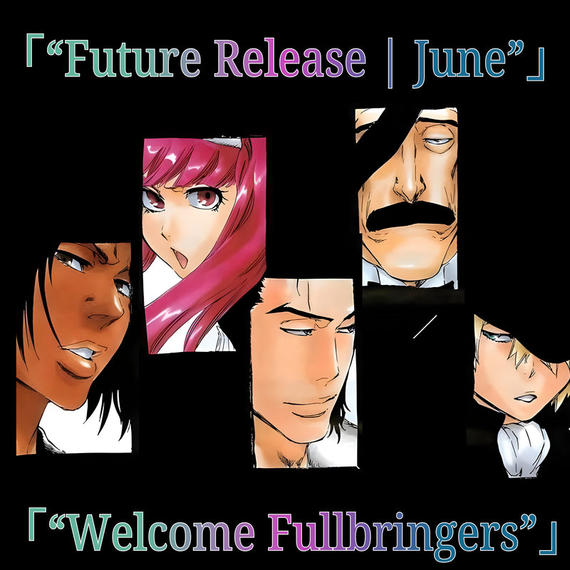 BLEACH Fullbring Collection