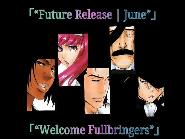 BLEACH Fullbring Collection