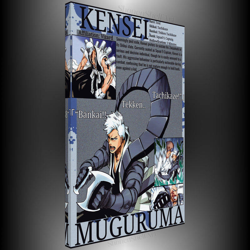 Kensei Visored | Canvas Illustrations