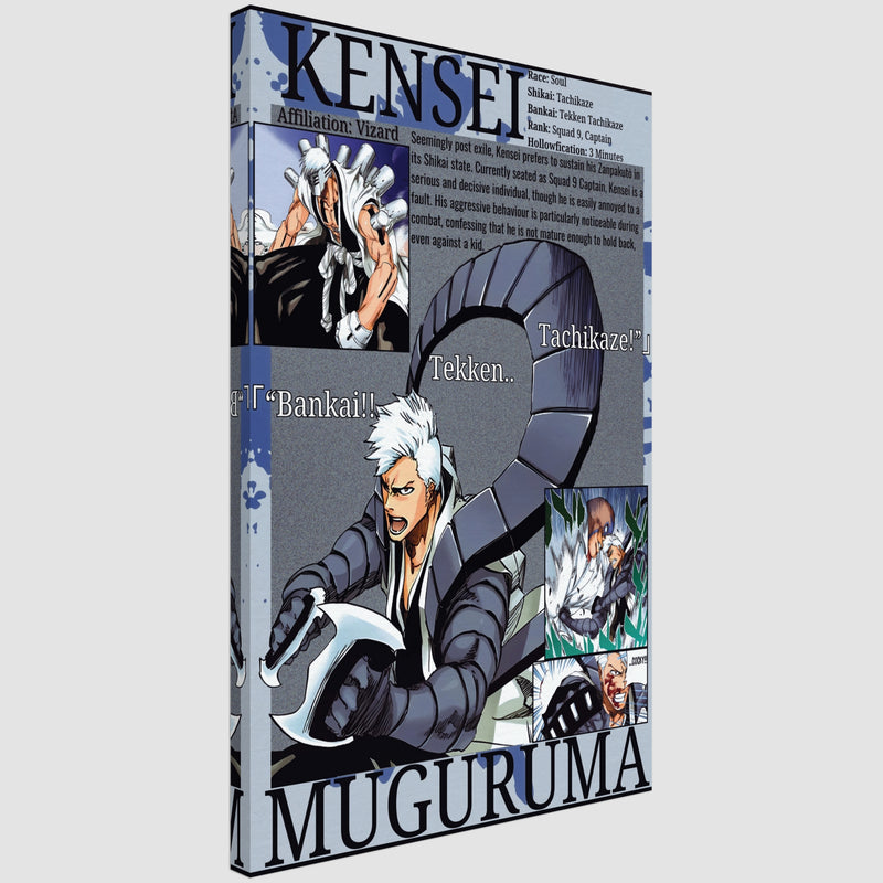 Kensei .M Visored | Canvas Illustration