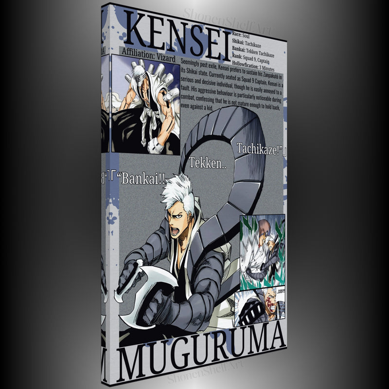 Kensei Visored | Canvas Illustrations