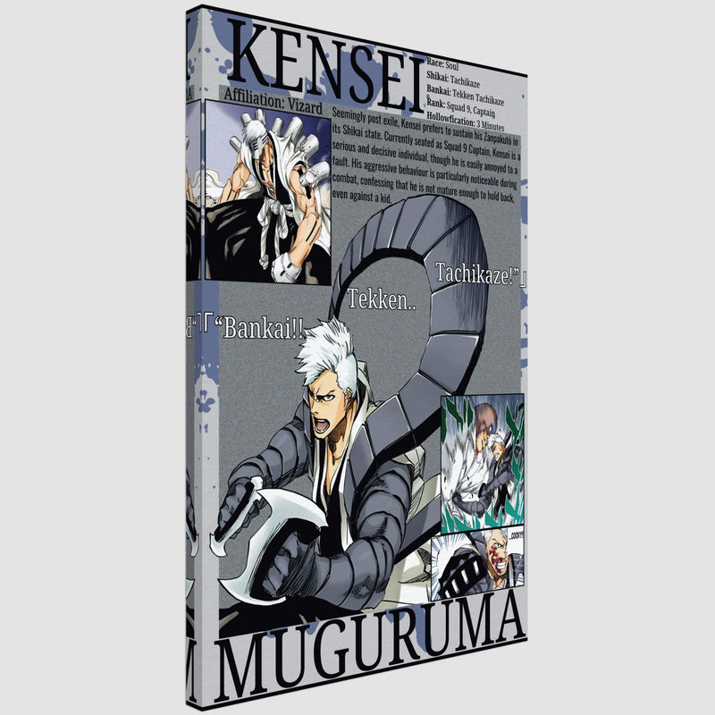 Kensei .M Visored | Canvas Illustration