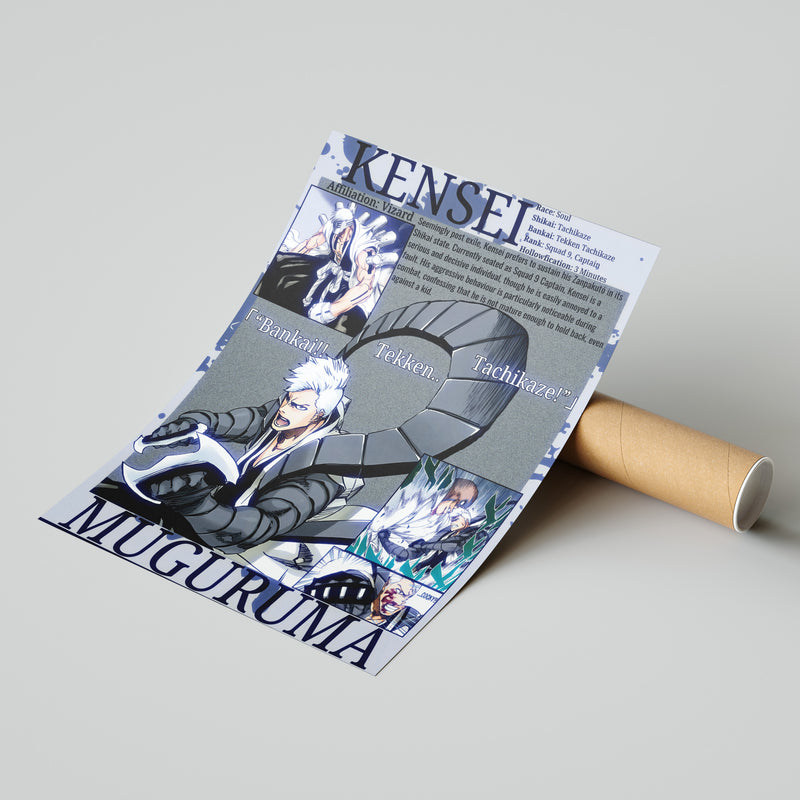 Kensei Visored | Premium Manga Poster