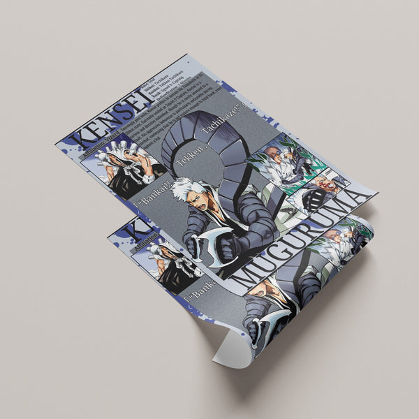 Kensei Visored | Premium Manga Poster