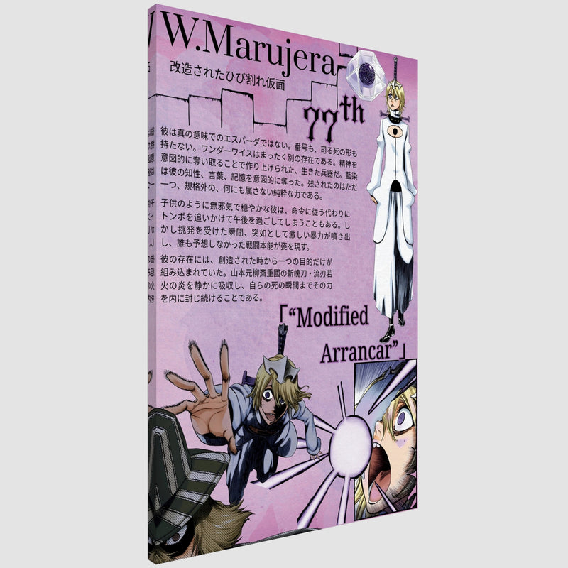 Wonderweiss .M Arrancar 77 | Canvas Illustration